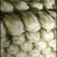 黄心白菜