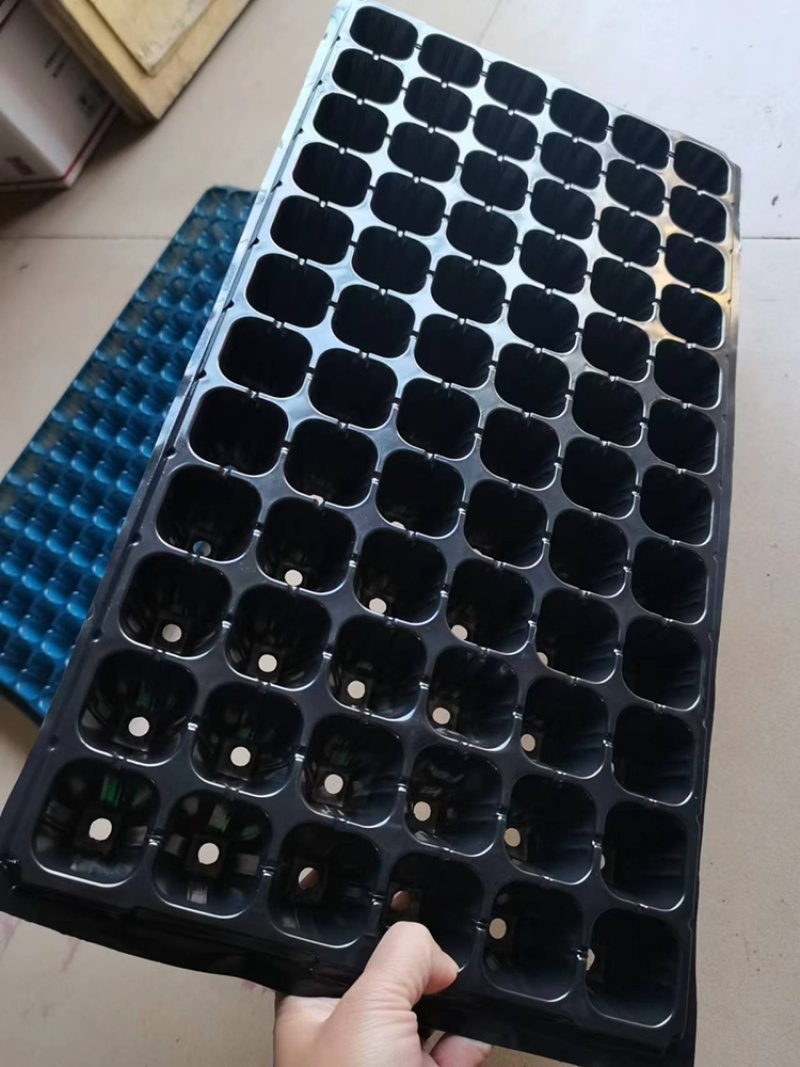 育苗穴盘，瓜果蔬菜，花卉林木扦插多肉植物草莓盘专用穴盘，