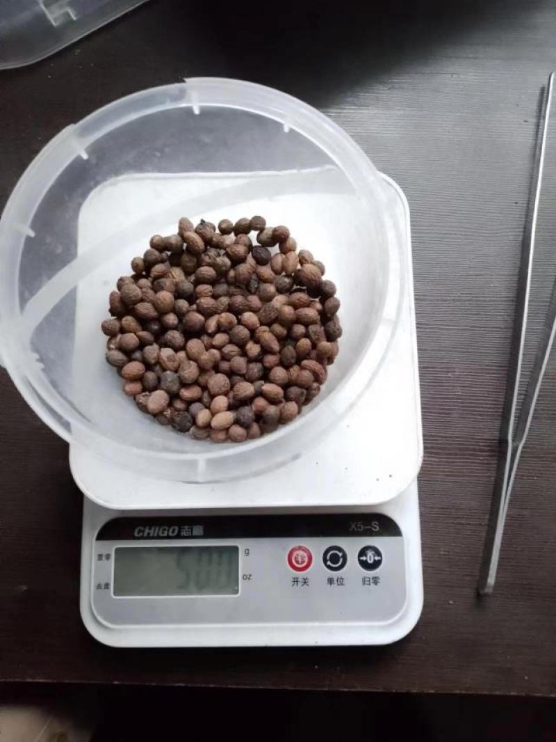 枣核酸枣酸枣胡陕西宝鸡货，去年陈货出仁率高。现场坐标