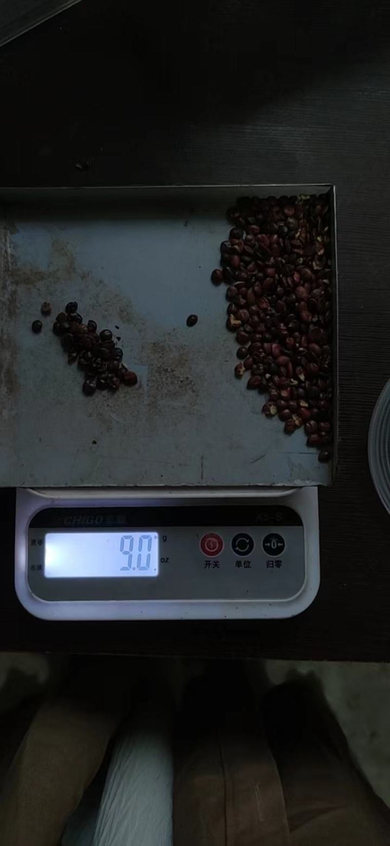 枣核酸枣酸枣胡陕西宝鸡货，去年陈货出仁率高。现场坐标