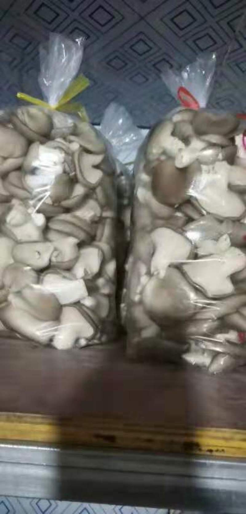 广温品种姬菇大包，又干又白又净保质保量基地直发