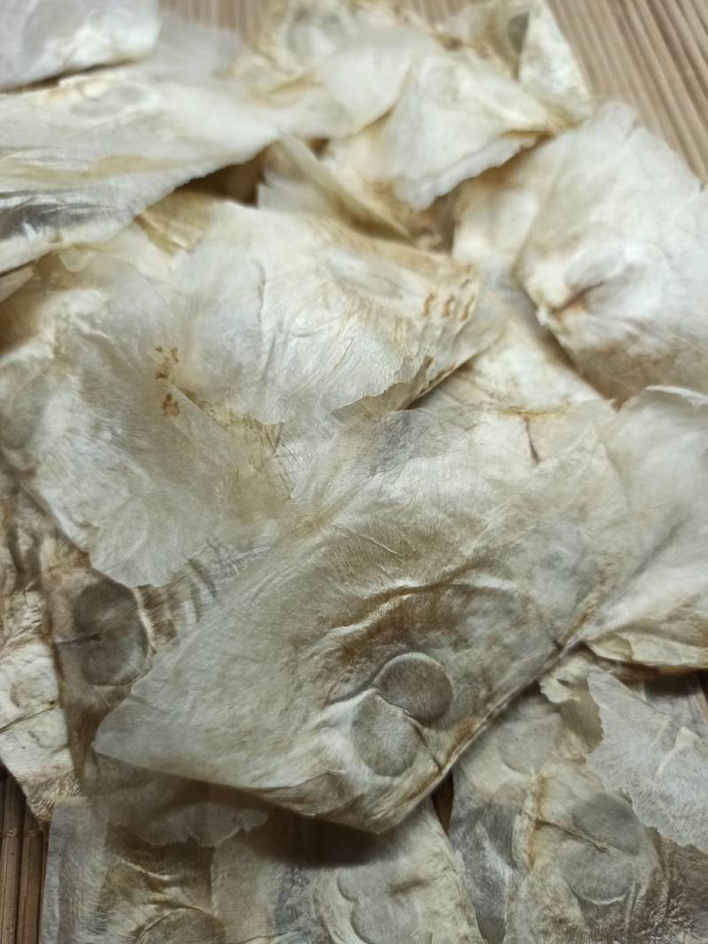 木蝴蝶各种养生花中药材批发欢迎选购