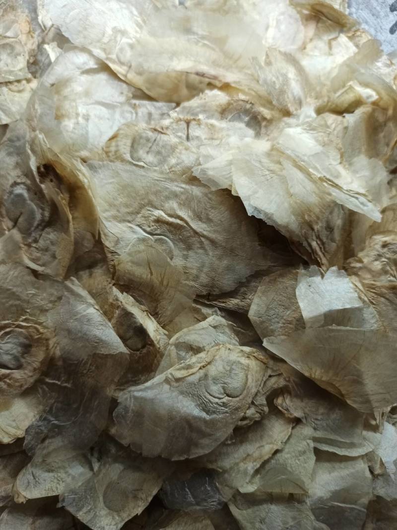 木蝴蝶各种养生花中药材批发欢迎选购