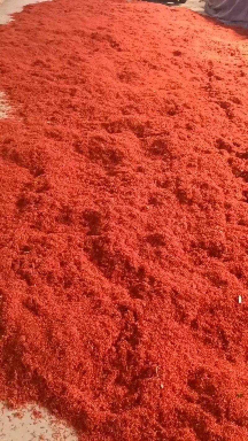 木蝴蝶各种养生花中药材批发欢迎选购