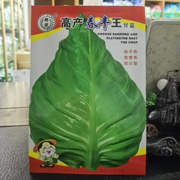 春丰牛心甘蓝种子口感甜脆，单球重1.5公斤左右农户大田用