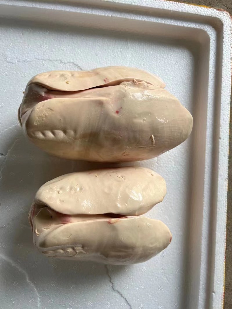 鹅肝