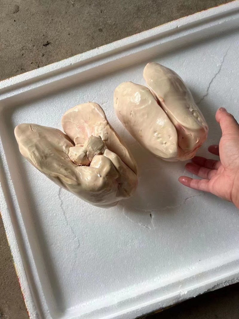 鹅肝