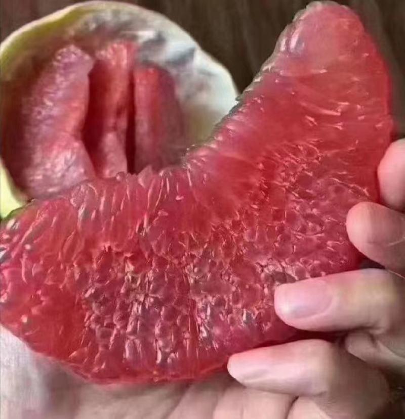 精品蜜柚.红心柚，品种多，电商市场果，大量供应欢迎联系