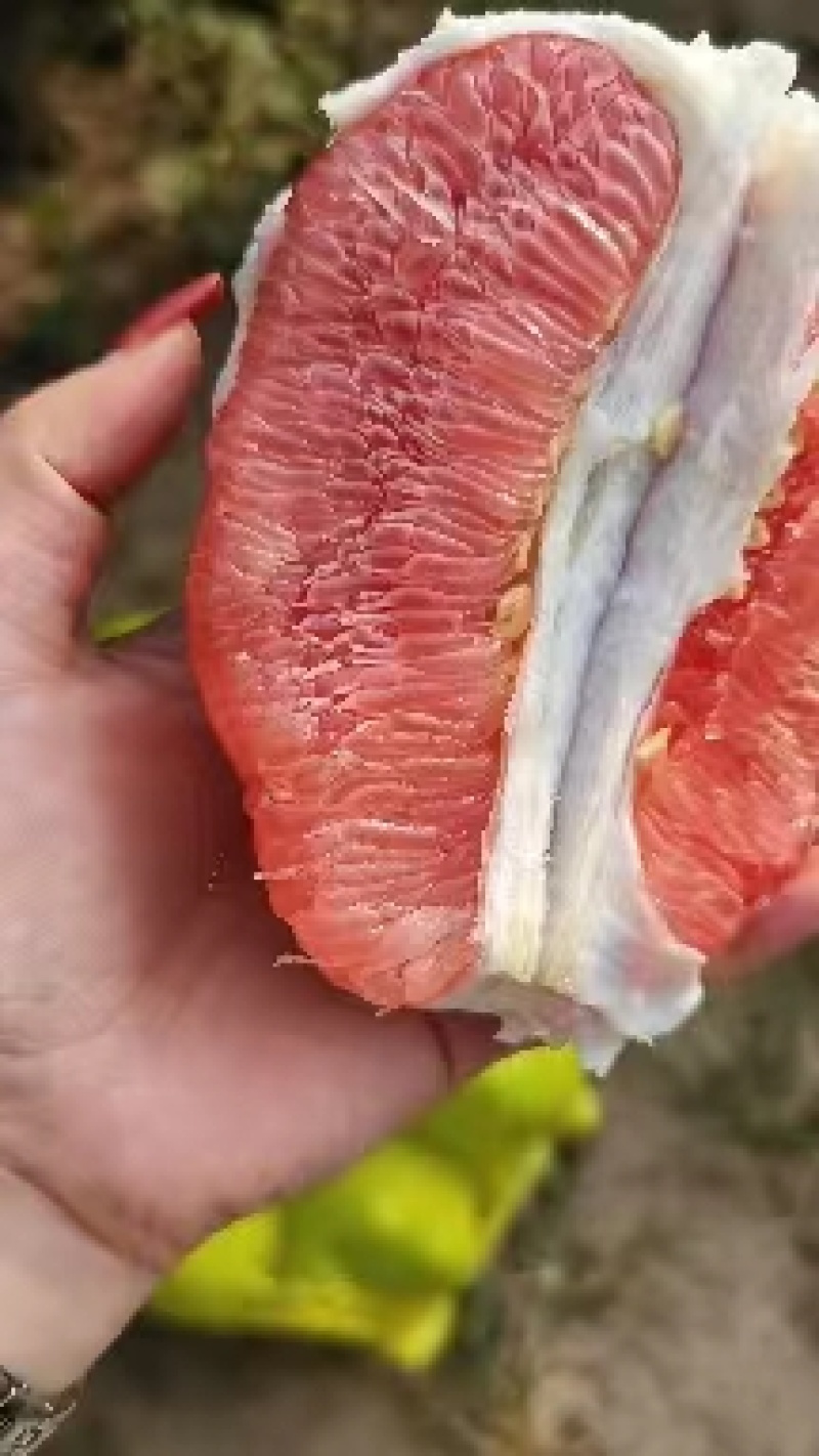 精品蜜柚.红心柚，品种多，电商市场果，大量供应欢迎联系