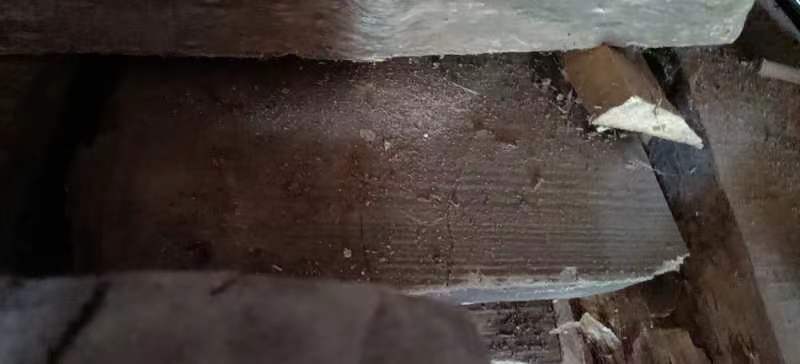 老梨树