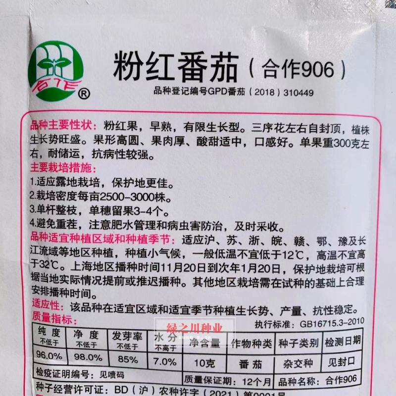 上海合作906粉红番茄种子早熟西红柿种子本地粉番茄自封顶