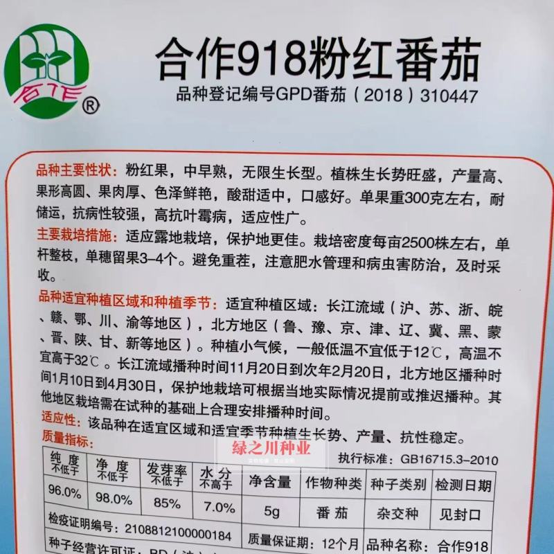 合作918粉红番茄种子中早熟高秧酸甜果高圆西红柿种子