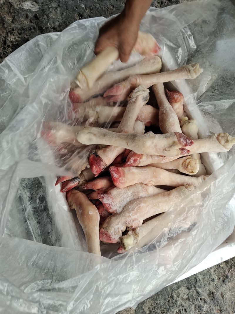 羊蹄一件20斤干货。一件有35只左右。干净去毛。品质保证