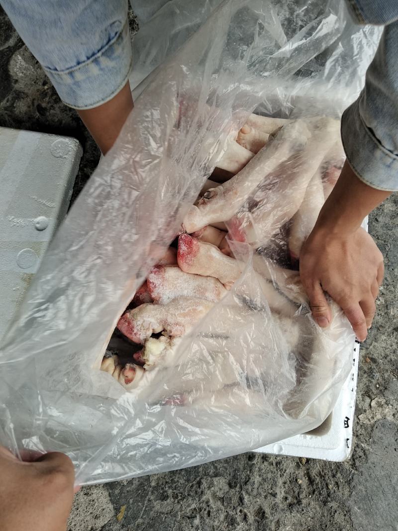 羊蹄一件20斤干货。一件有35只左右。干净去毛。品质保证