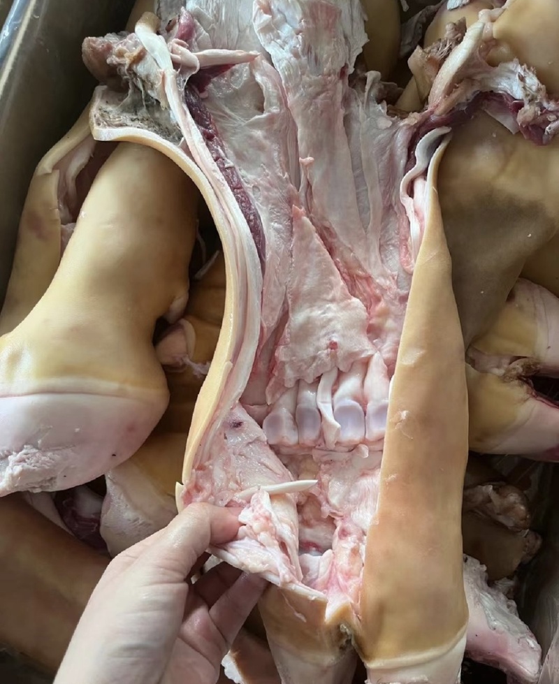 火烧牛蹄、半去骨牛蹄，一手货源供应