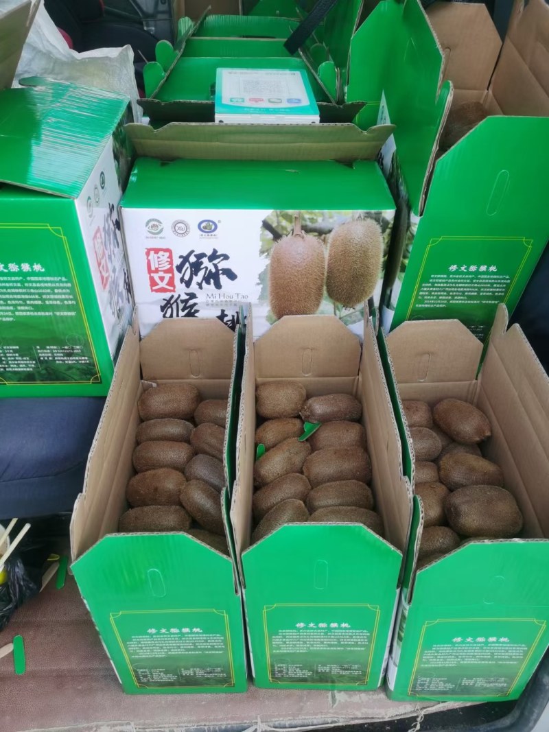 修文猕猴桃