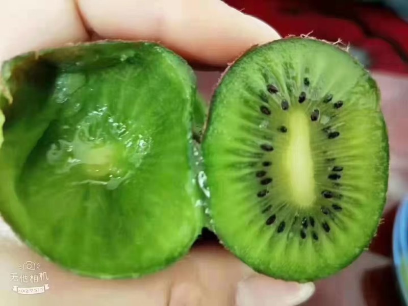 修文猕猴桃