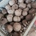 花魔芋，魔芋豆腐，一代种，二代种，质量好，价格优货源充足