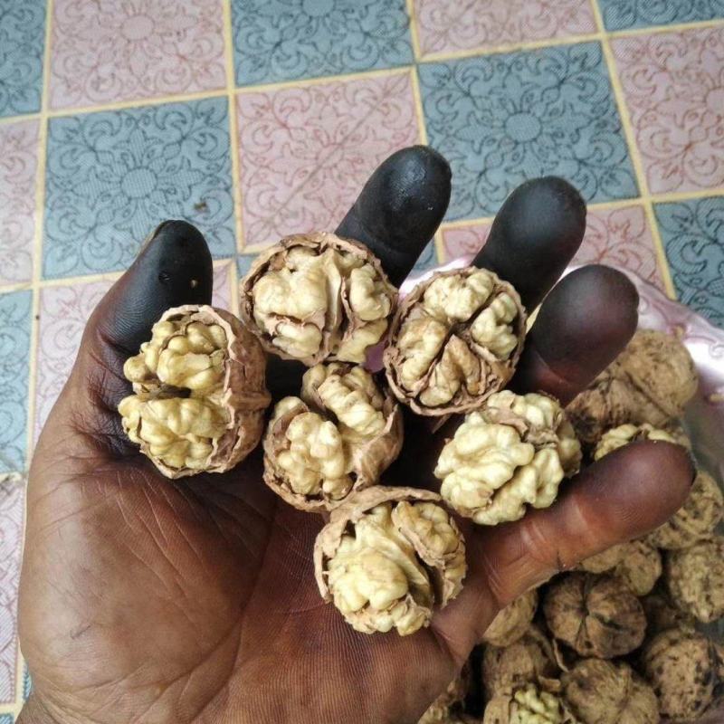 云南薄壳干核桃