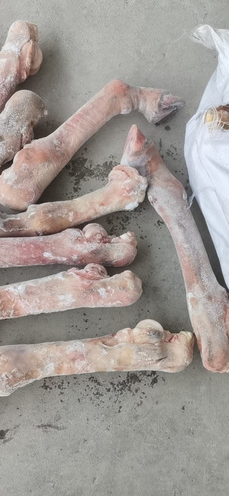 马小腿，去毛带毛马蹄，国产货，新鲜速冻，手续齐全！