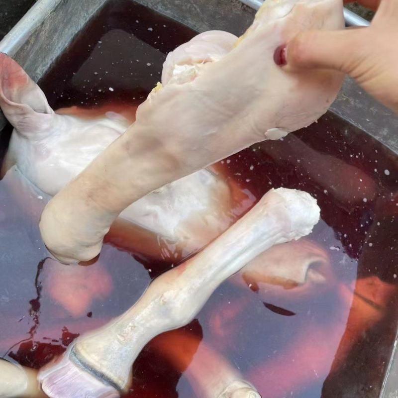 马小腿，去毛带毛马蹄，国产货，新鲜速冻，手续齐全！