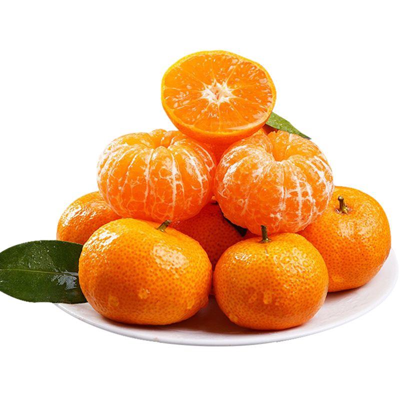 大量砂糖橘供应，欢迎合作