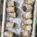 大连庄河大球盖（赤松茸）一二三级