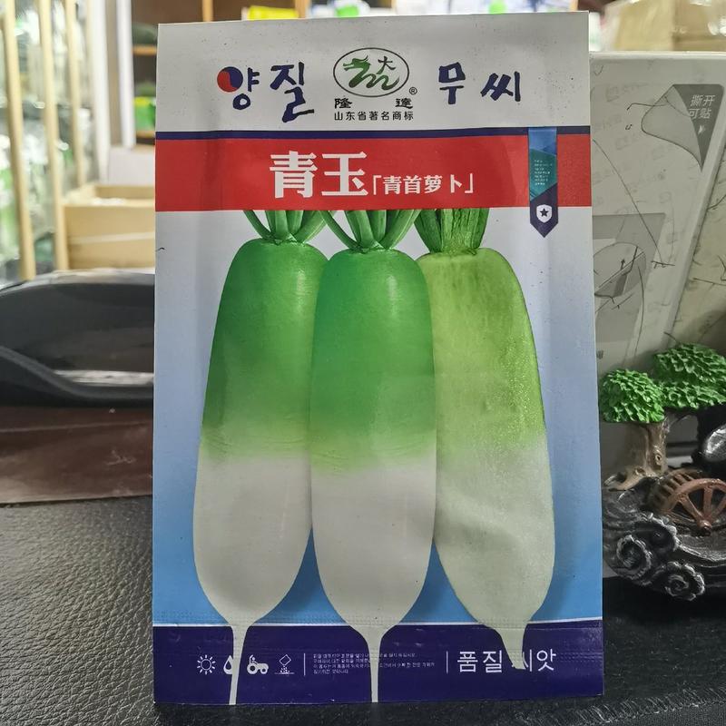 韩国青玉青首萝卜种子表皮光滑1/2青头春秋抗抽苔农户