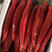红尖椒，精品红尖椒，电商红尖椒，寿光红尖椒，产地直采
