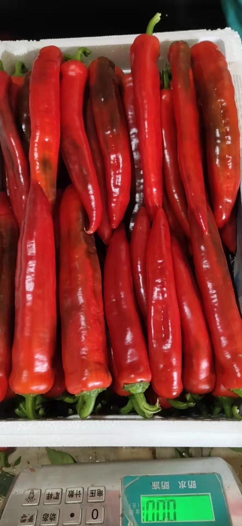 红尖椒，精品红尖椒，电商红尖椒，寿光红尖椒，产地直采