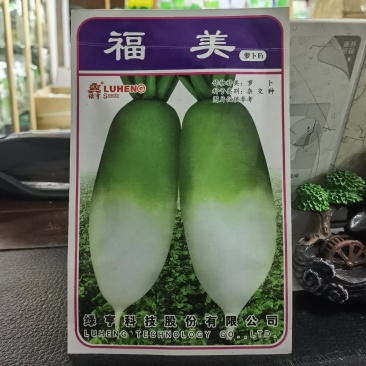 福美萝卜种子一代杂交种子春秋耐抽苔农户用种
