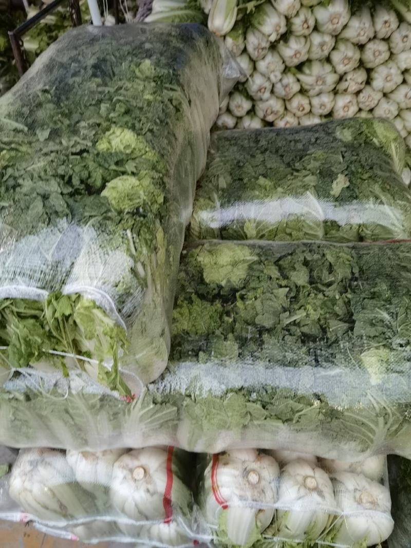 【推荐】娃娃菜，酒泉，大量上市，价格低，质量高欢迎合作