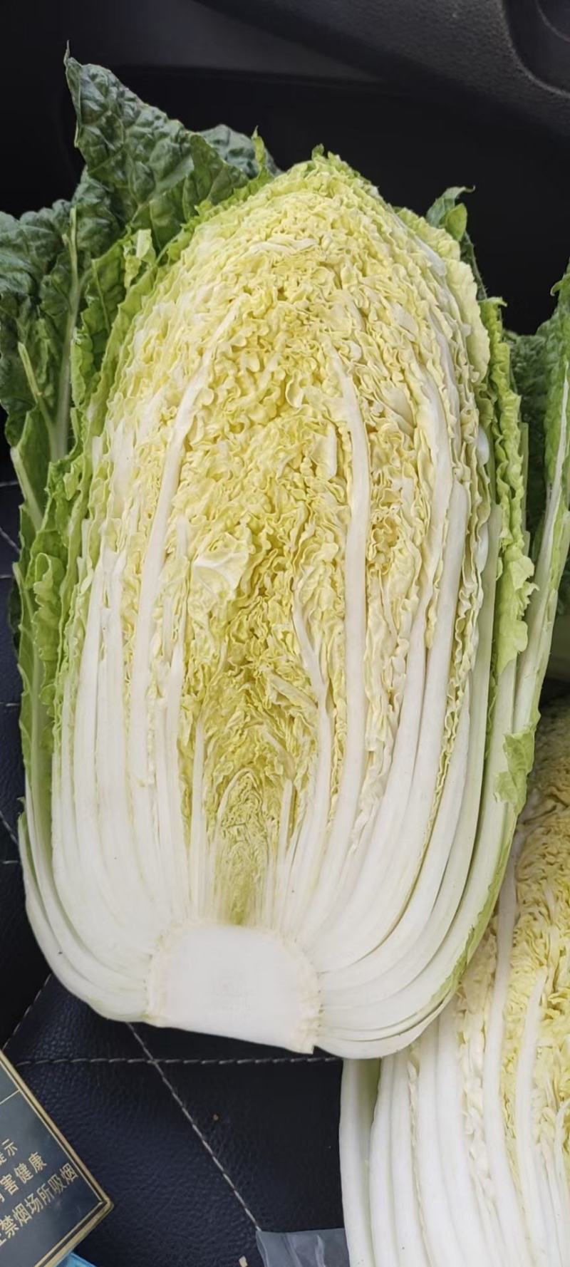 大白菜，甘肃酒泉大白菜物美价廉欢迎采购。