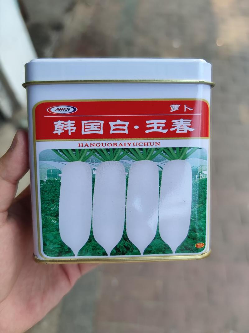 韩国白玉春萝卜种子，50克