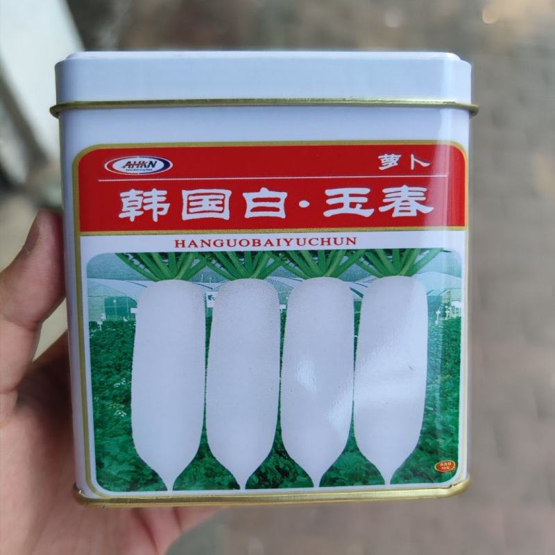 韩国白玉春萝卜种子，50克