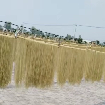 红薯粉条山药粉条火锅粉等