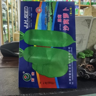 天津沙窝萝卜种子里外青水果萝卜种子口感赛鸭梨庭院蔬菜种子