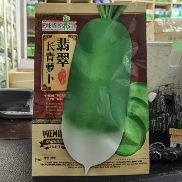 翡翠长青萝卜种子口感脆甜皮质光滑秋季阳台庭院大田蔬菜种子