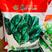 5斤装杂交一代菠菜新品种大力直立型菠菜种子椭圆叶菠菜种籽