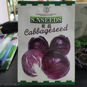 紫晶紫甘蓝种子春季中晚熟品种阳台庭院蔬菜种子