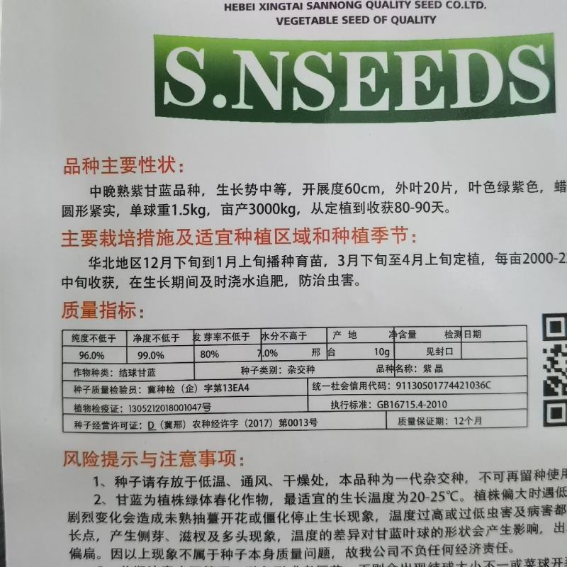 紫晶紫甘蓝种子春季中晚熟品种阳台庭院蔬菜种子