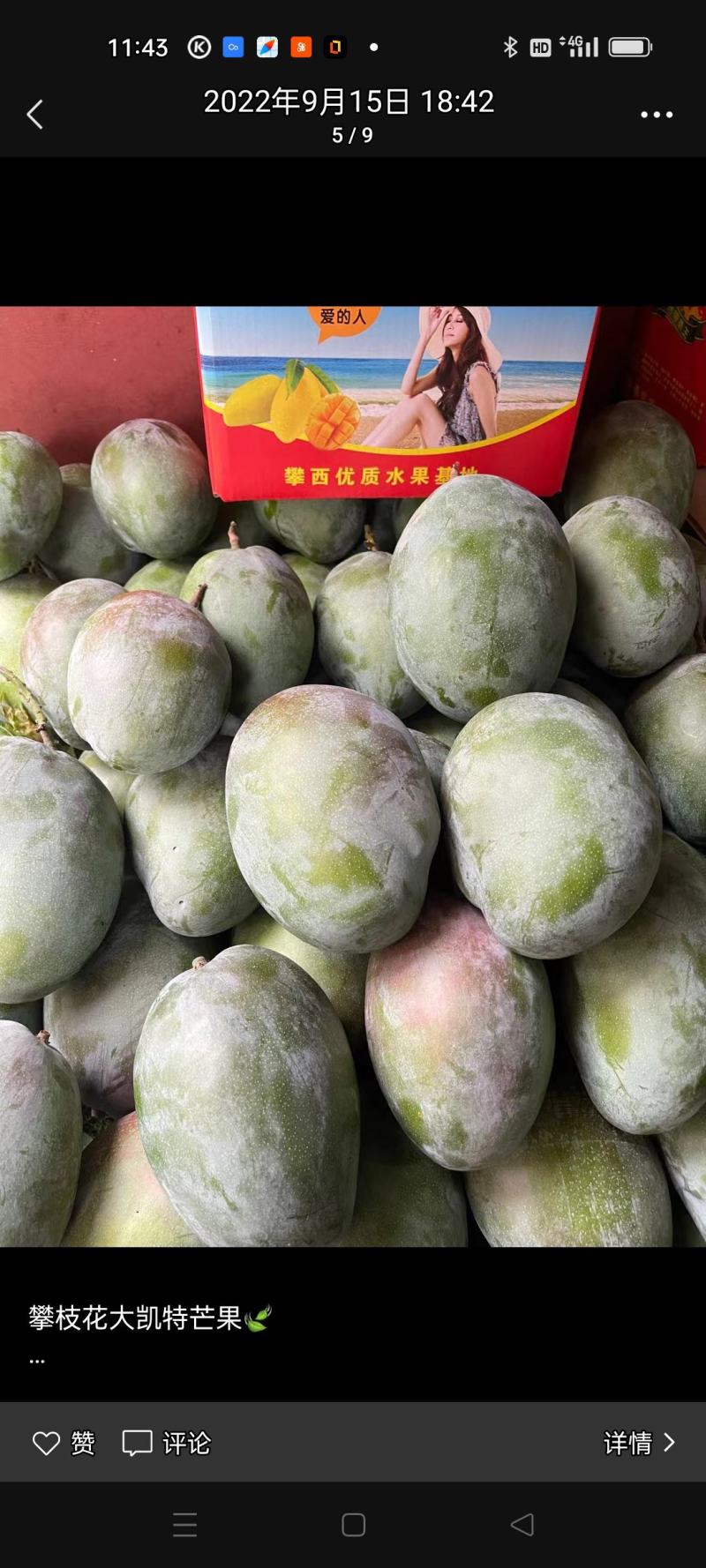 芒果，石榴
