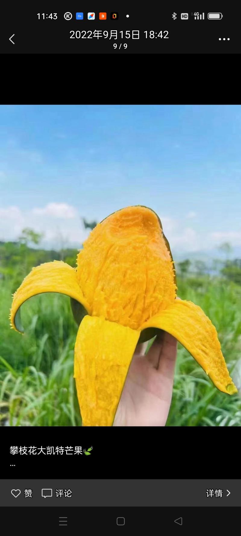 芒果，石榴