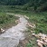 欧冠密本南瓜