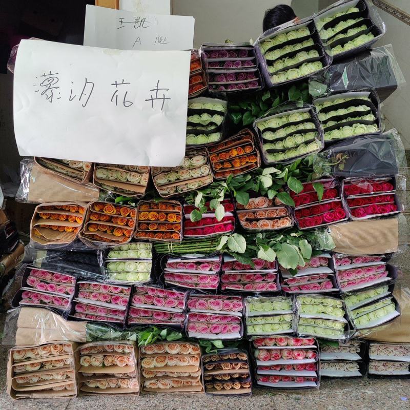各种玫瑰鲜切花