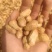 白沙花生，果大饱满，皮薄出米率高。量大合作共赢！