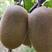 【猕猴桃】金桃猕猴桃个头大口感甜黄心果肉耐运输
