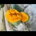 攀枝花本地特色晚熟芒果