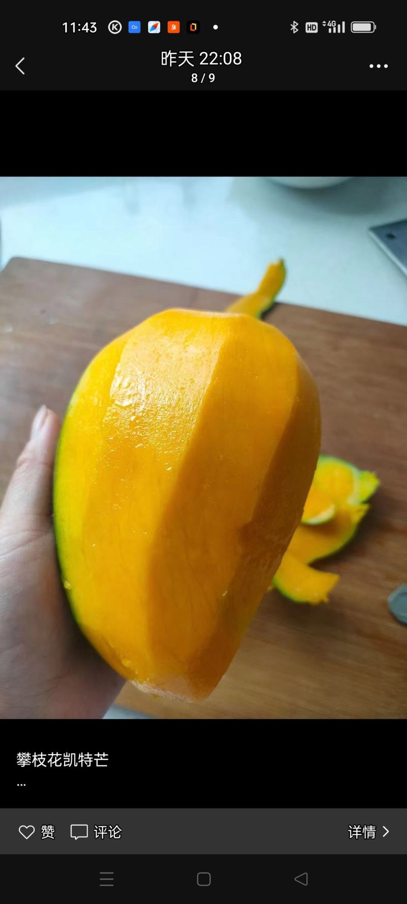 攀枝花本地特色晚熟芒果