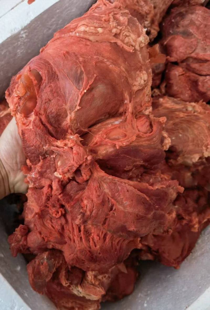 牛腱，牛肉，，，，，，，，，，，，，，，，